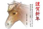馬の顔イラスト年賀状・ヨコ